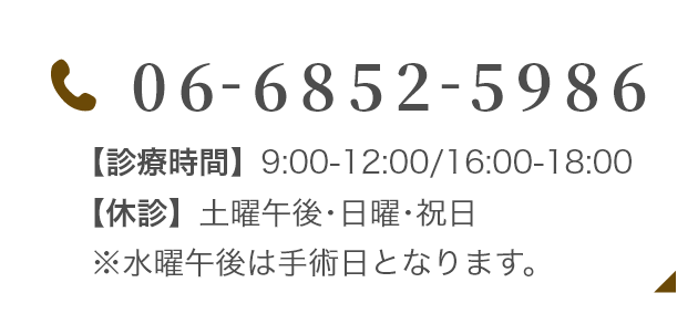 TEL:06-6852-5986